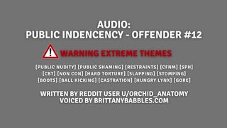 *WARNING EXTREME THEMES* Audio: Public Indecency - Offender #12