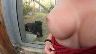 Got Horny in the ZOO & Public CUM on her BIG TITS