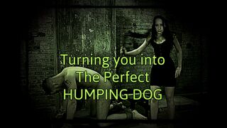 Turning you into the perfect humping dog